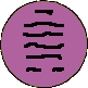 Impressum